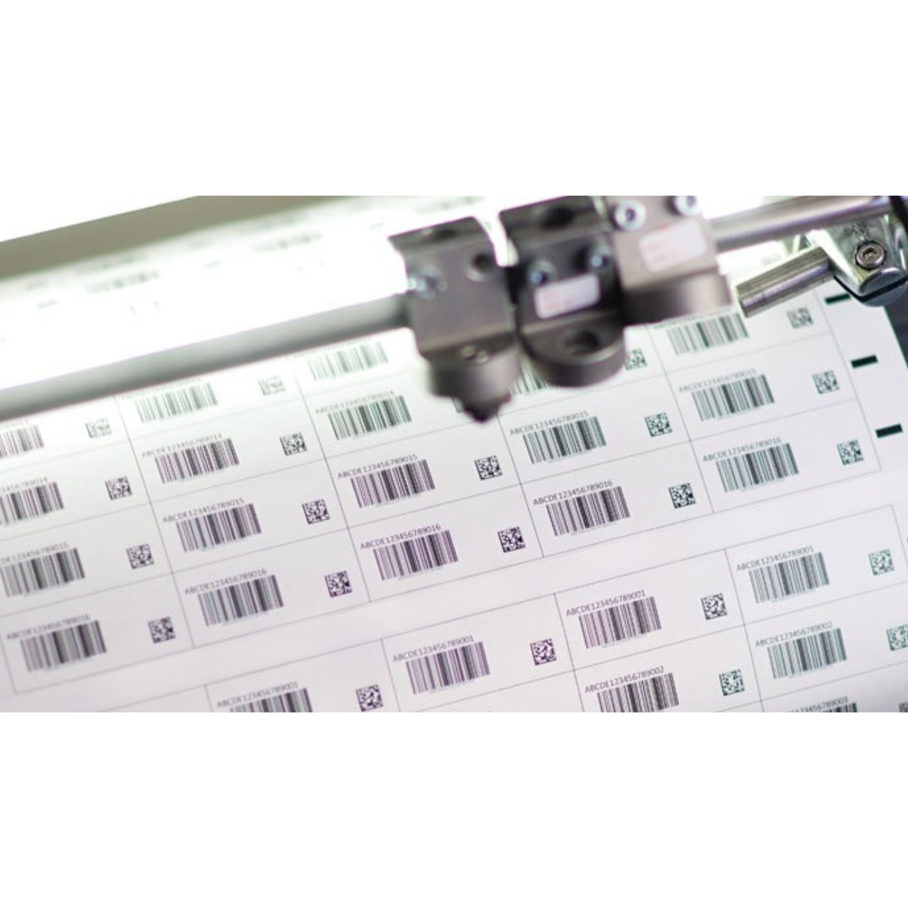 Lake Image - Değişken Veri Doğrulama